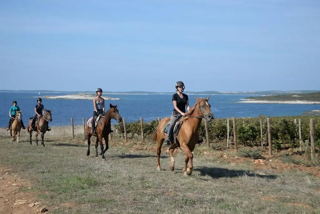 Villa Grofica, New House, Heated Pool, Jacuzzi, Playgroung & Bbq, Near Beaches, Pula - Istria Croatia